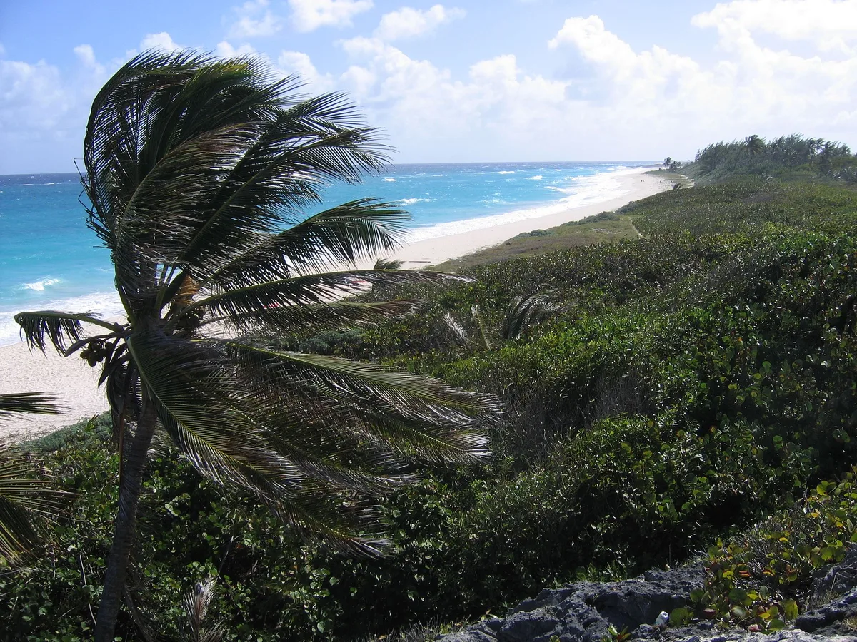 Silver Sands Beach, Christ Church, Lesser Antilles, Barbados — 5
