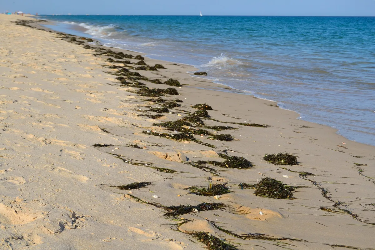 Barril Beach, Tavira, Portuguese Atlantic, Portugal — 4