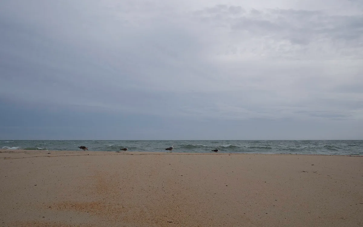 Figueirinha-Strand, Setúbal, Portuguese Atlantic, Portugal — 5