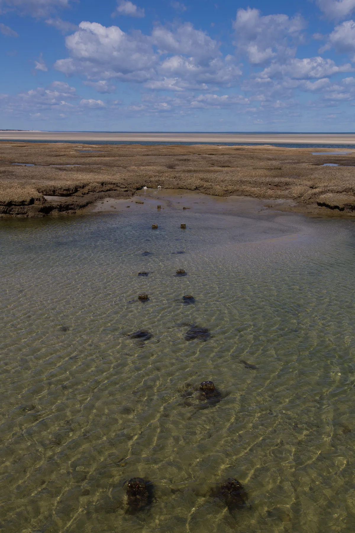 Chapin Memorial Beach, Dennis, US Northeast, Stati Uniti — 4