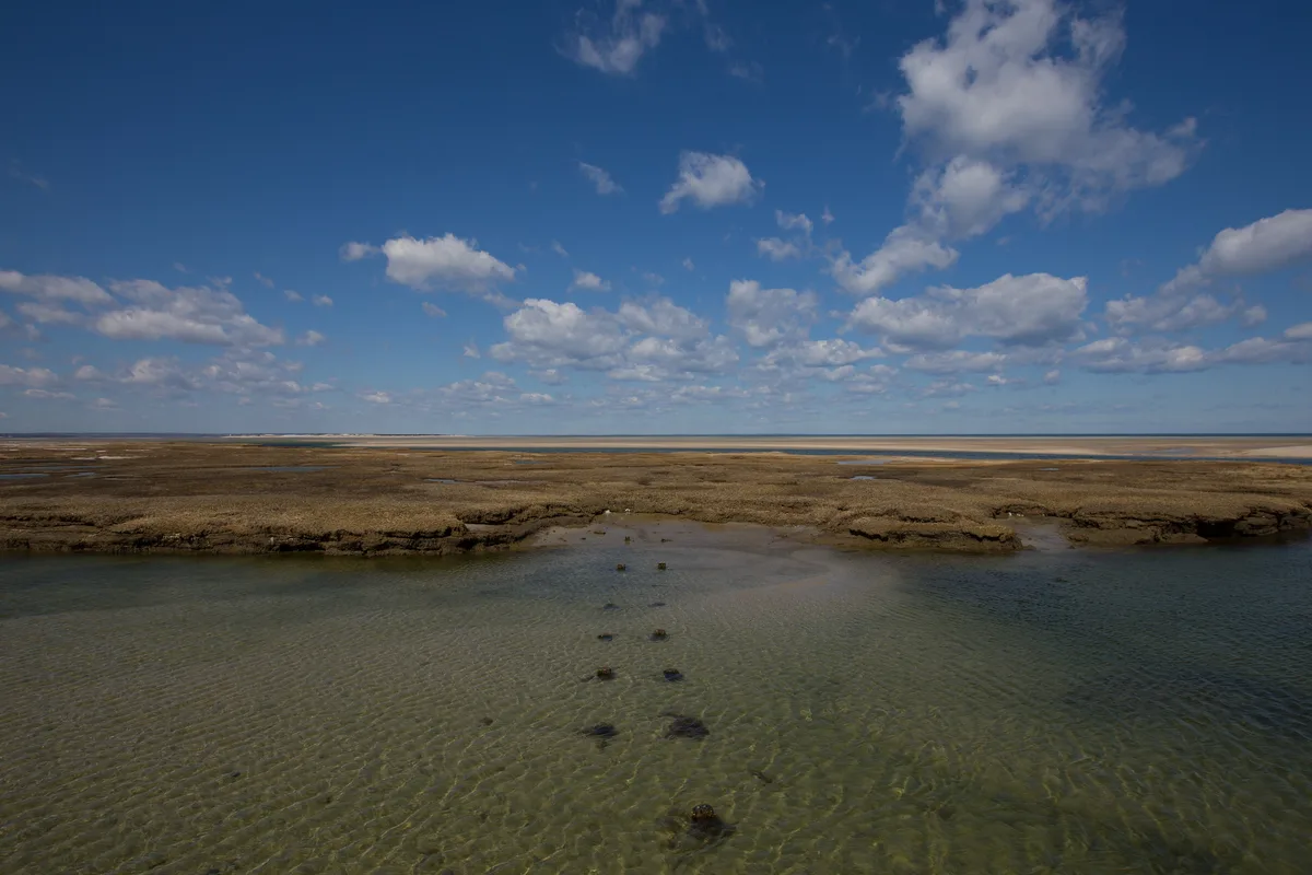 Chapin Memorial Beach, Dennis, US Northeast, Stati Uniti — 3