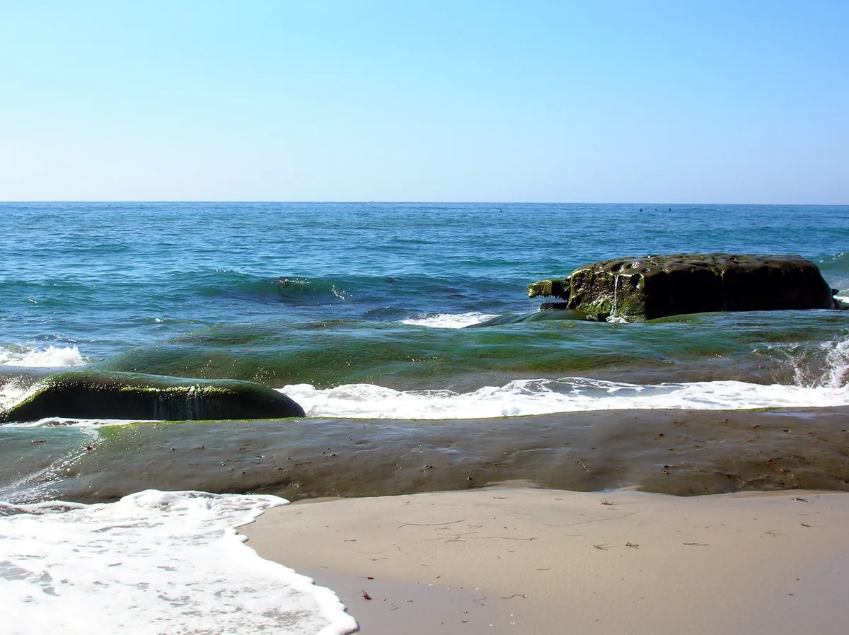 Windansea Beach, San Diego, California Coast, United States — 3