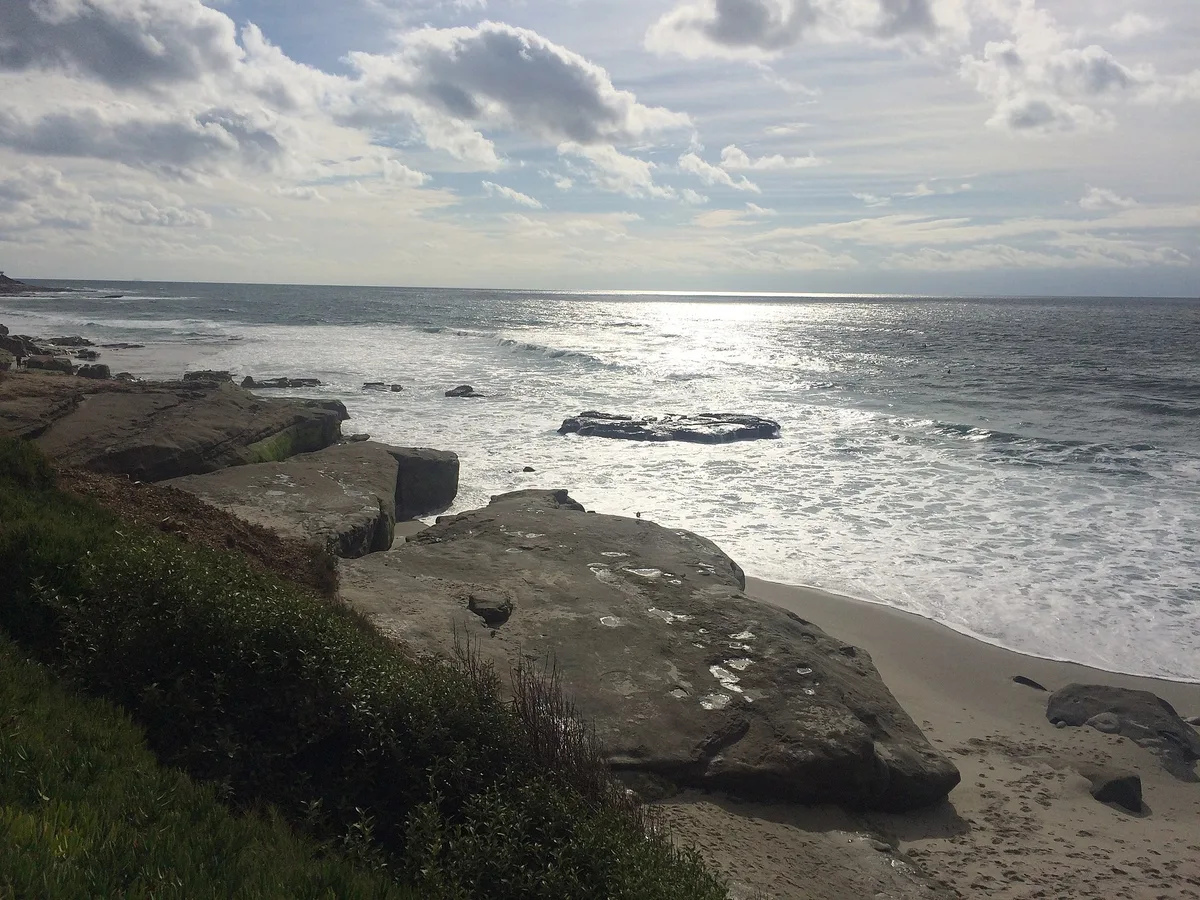 Windansea Beach, San Diego, California Coast, United States — 4