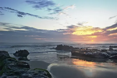 Windansea Beach