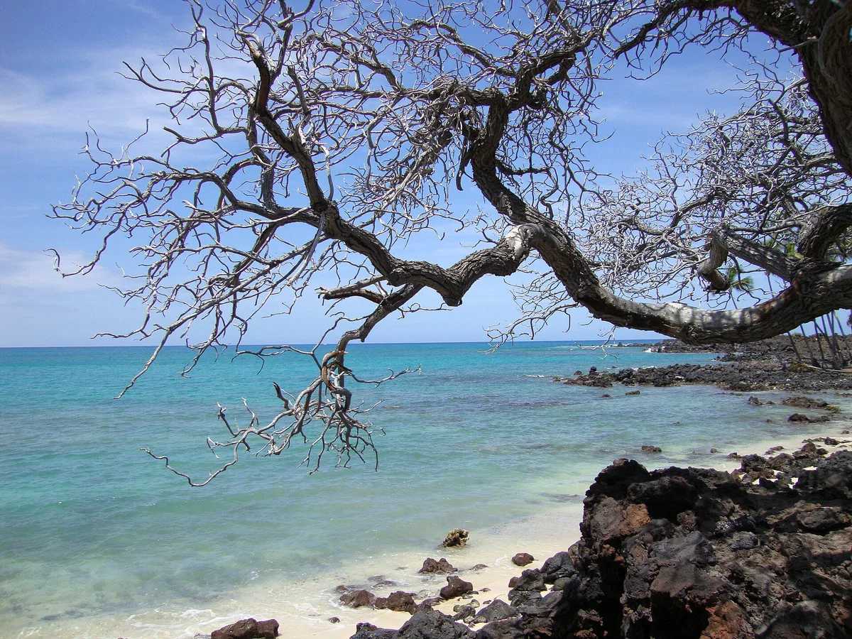 Mahai'ula Beach, North Kona, Hawaii, United States — 2