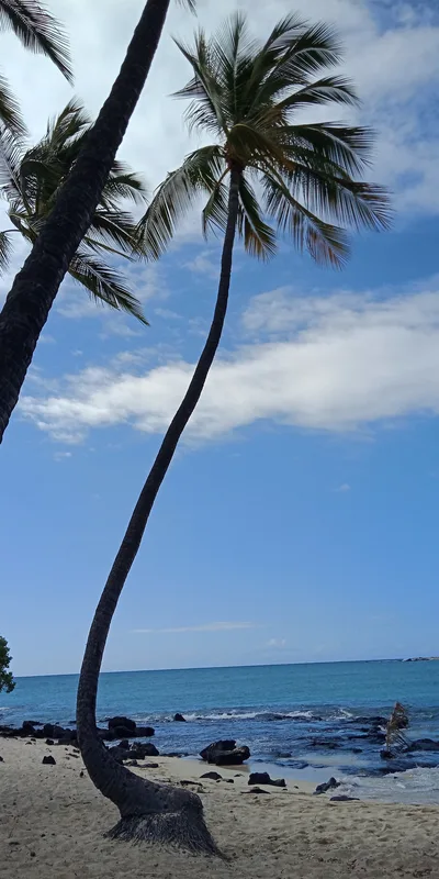 Mahai'ula Beach, North Kona, Hawaii, United States — 6