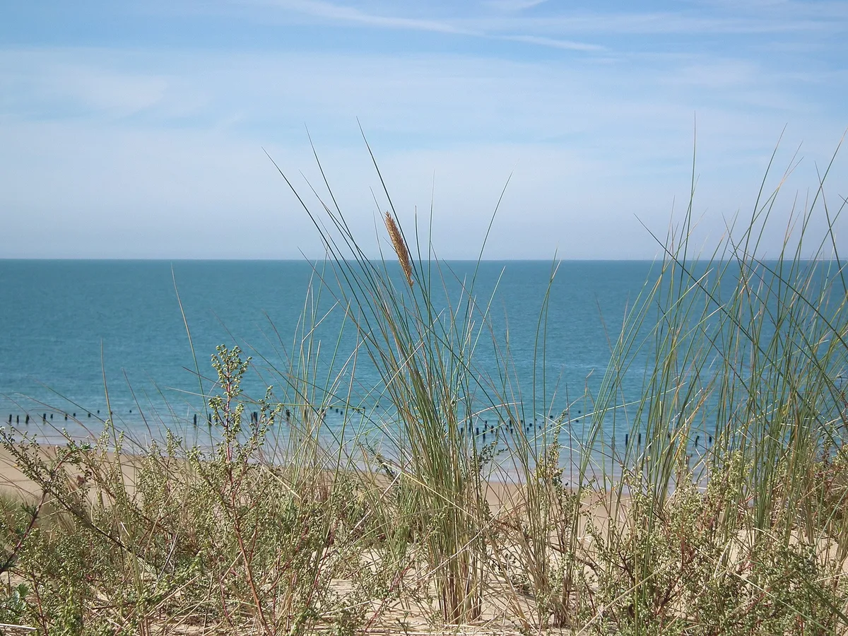 Plage des Saumonards, Boyardville, Nouvelle-Aquitaine, France — 6