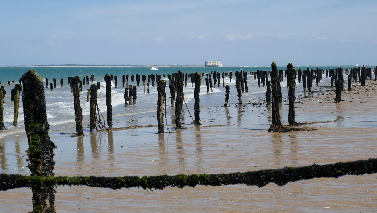Plage des Saumonards, Boyardville, Nouvelle-Aquitaine, France — 3
