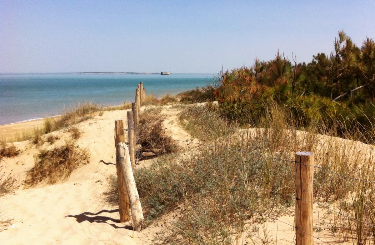 Plage des Saumonards, Boyardville, Nouvelle-Aquitaine, France