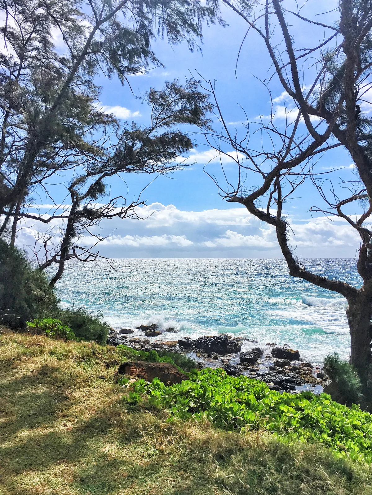 Playa de Keālia, Hawaii, Estados Unidos — 5