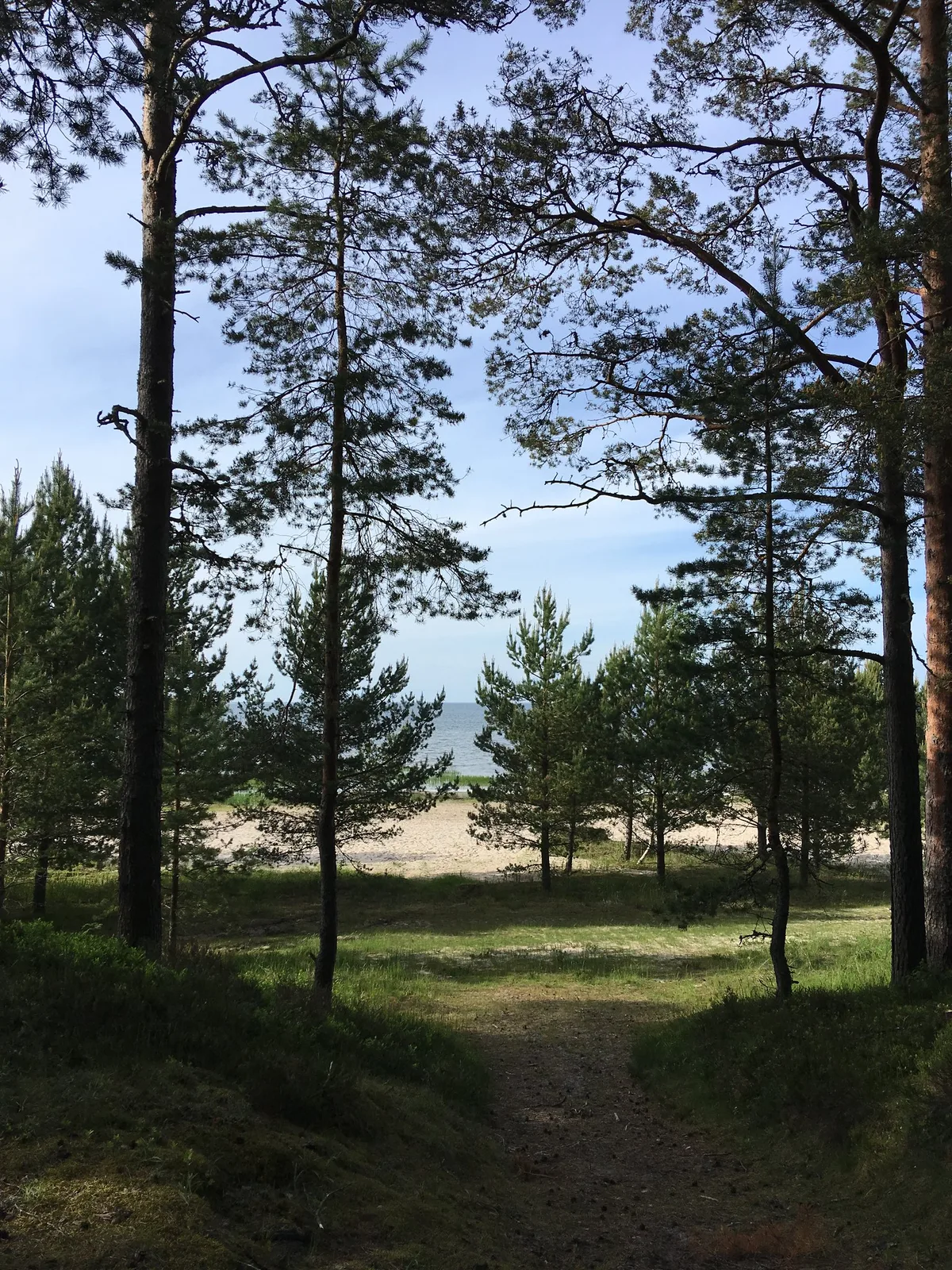 Spiaggia di Võsu, Haljala vald, Baltic Sea, Estonia — 2
