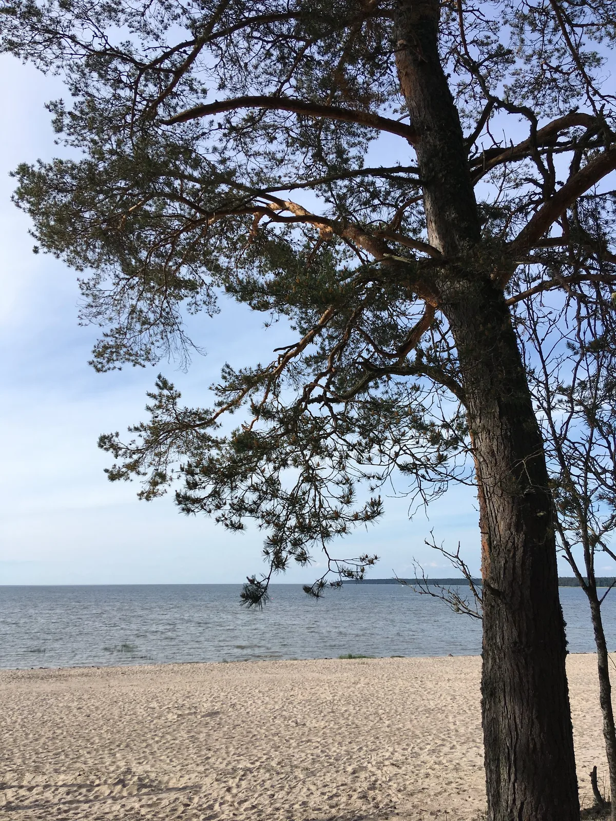 Spiaggia di Võsu, Haljala vald, Baltic Sea, Estonia
