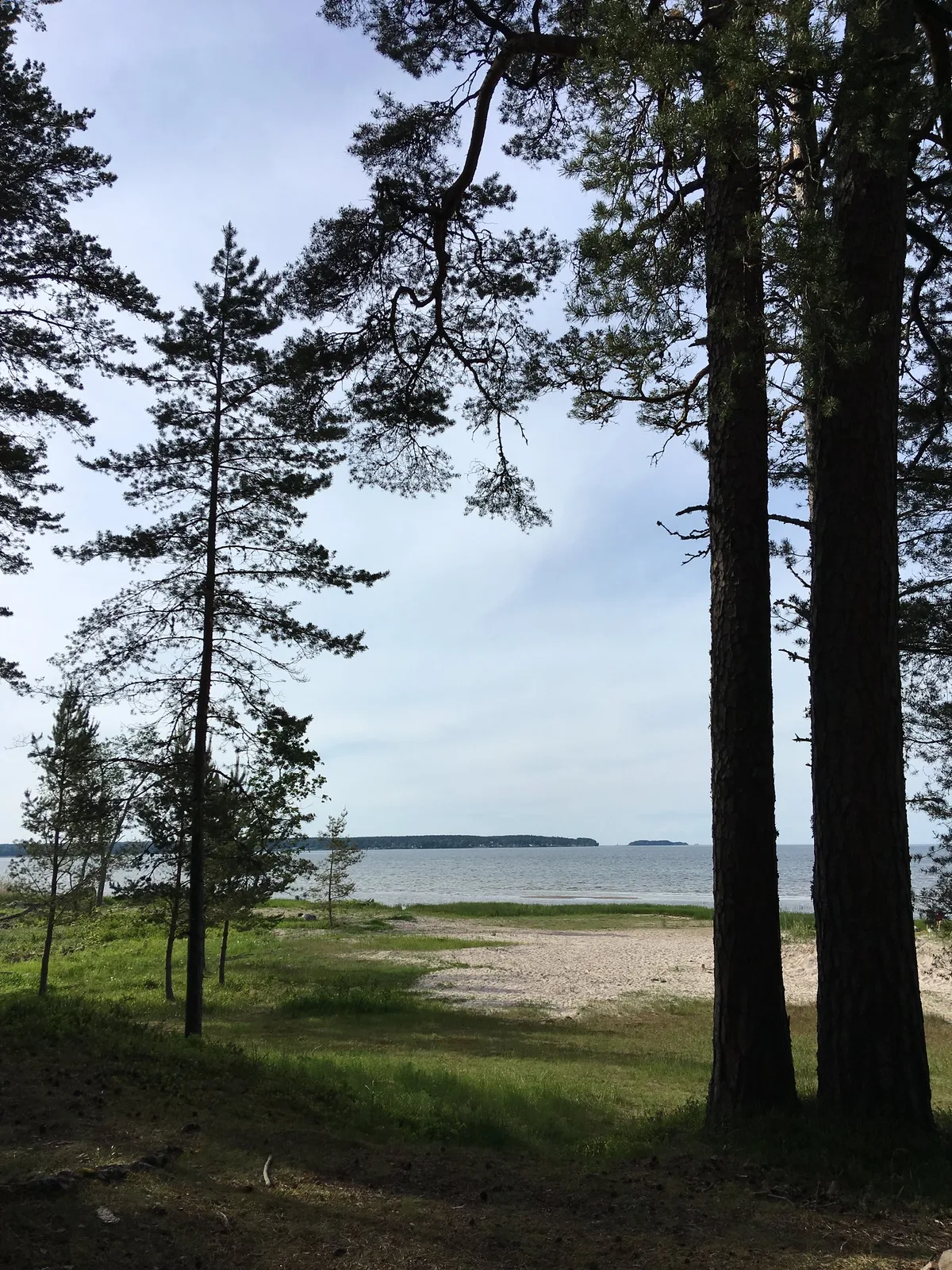 Spiaggia di Võsu, Haljala vald, Baltic Sea, Estonia — 3