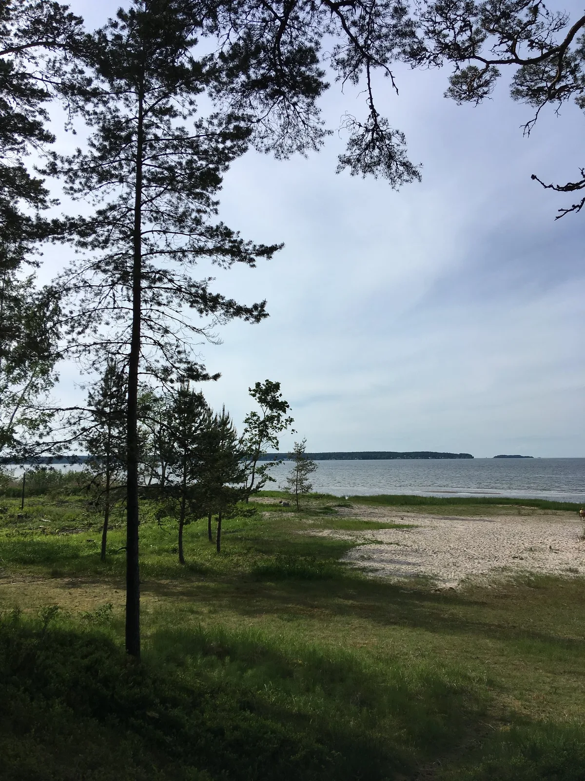 Spiaggia di Võsu, Haljala vald, Baltic Sea, Estonia — 4