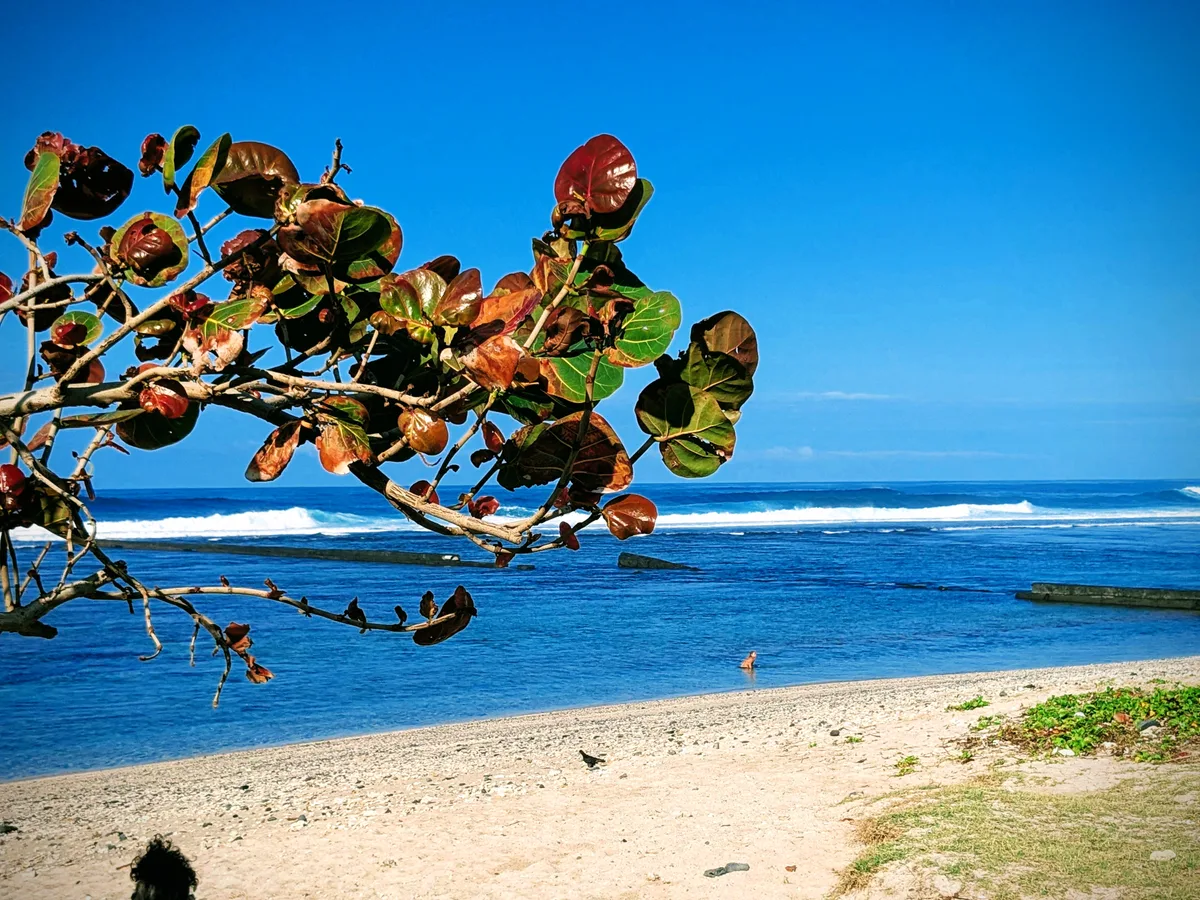 Playa de Petite Plage De Salahin, Saint-Pierre, Réunion, Francia