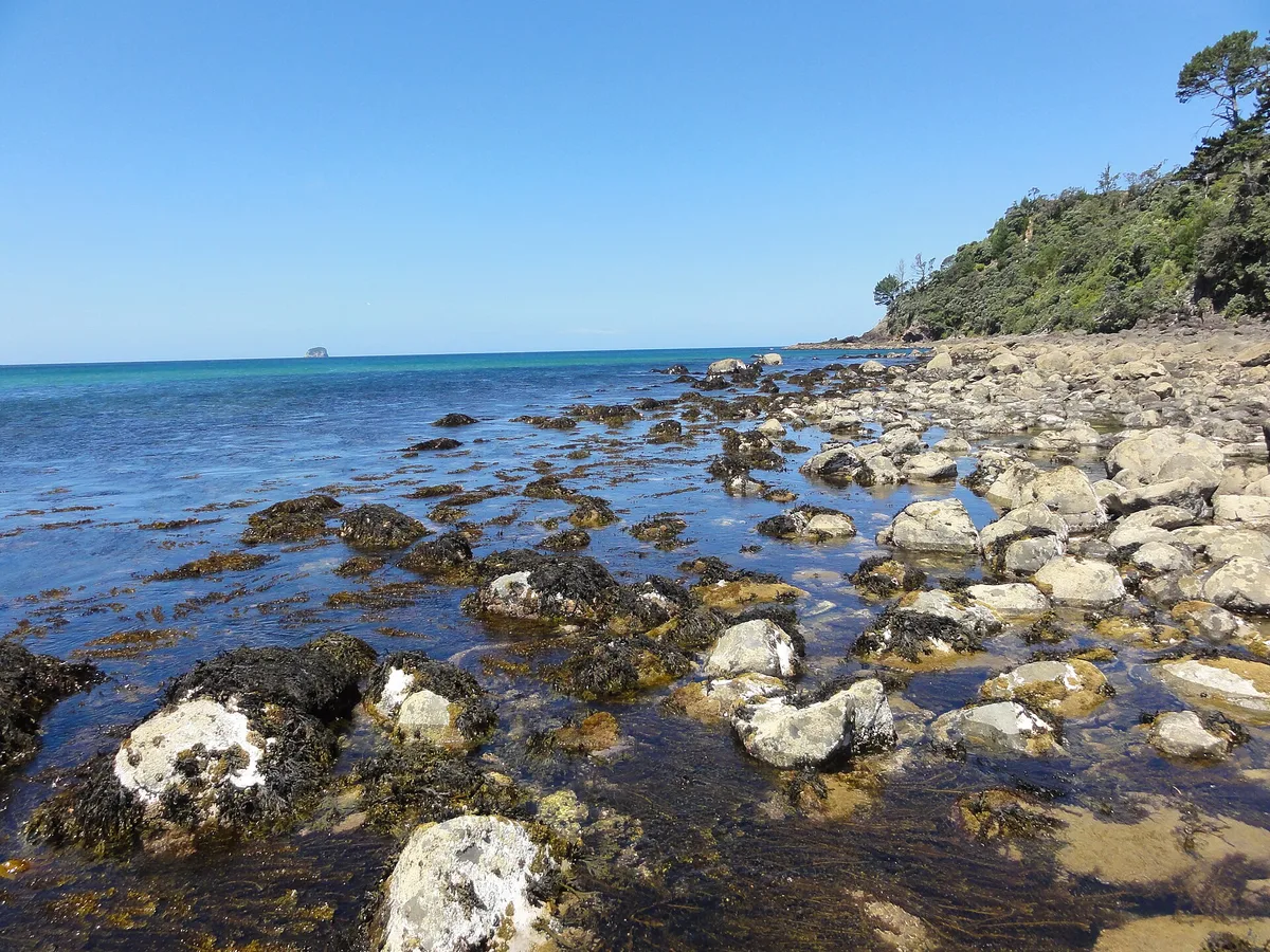 Hot Water Beach, Hot Water Beach, Waikato, New Zealand — 4
