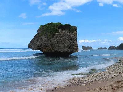 Tent Bay, Saint Joseph, Lesser Antilles, Barbados — 5
