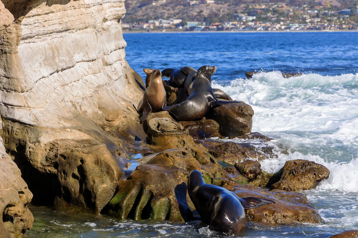 La Jolla Cove, San Diego, California Coast, United States — 2