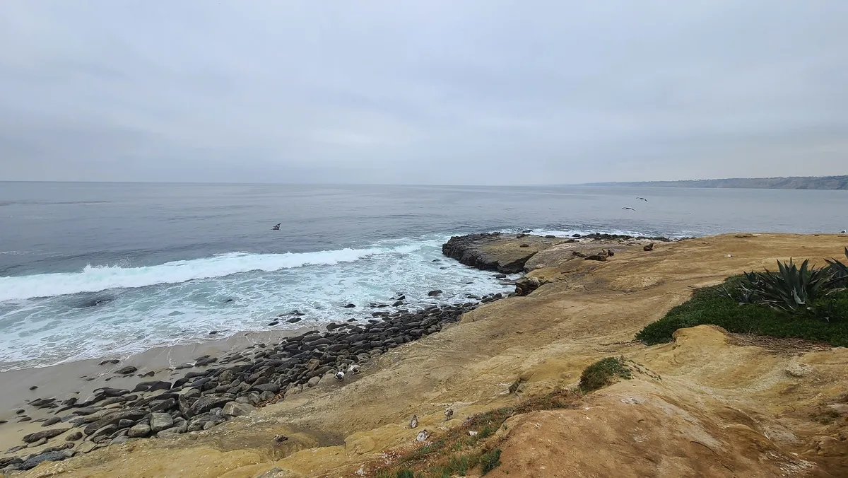 La Jolla Cove, San Diego, California Coast, United States — 6