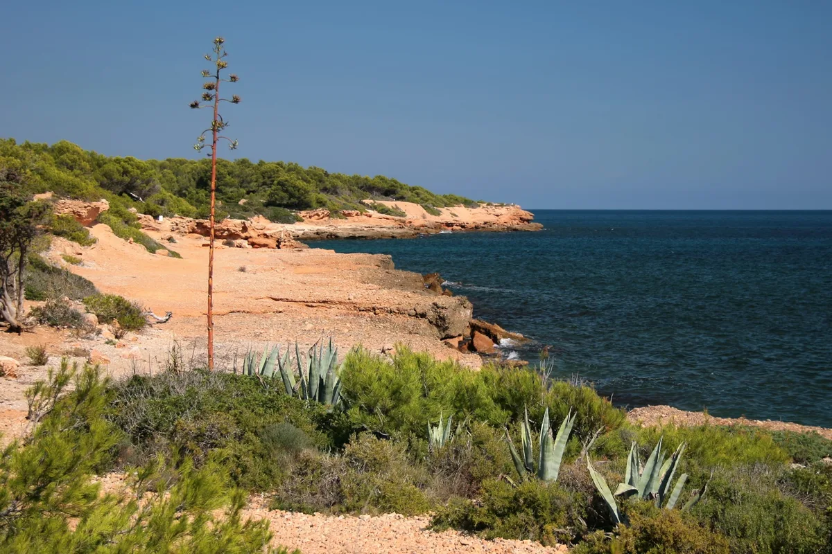 Cala Santes Creus-Strand, L'Ametlla de Mar, Catalonia, Spanien — 2