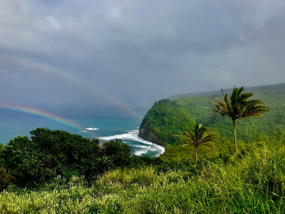 Playa de Pololu Valley, North Kohala, Hawaii, Estados Unidos — 4