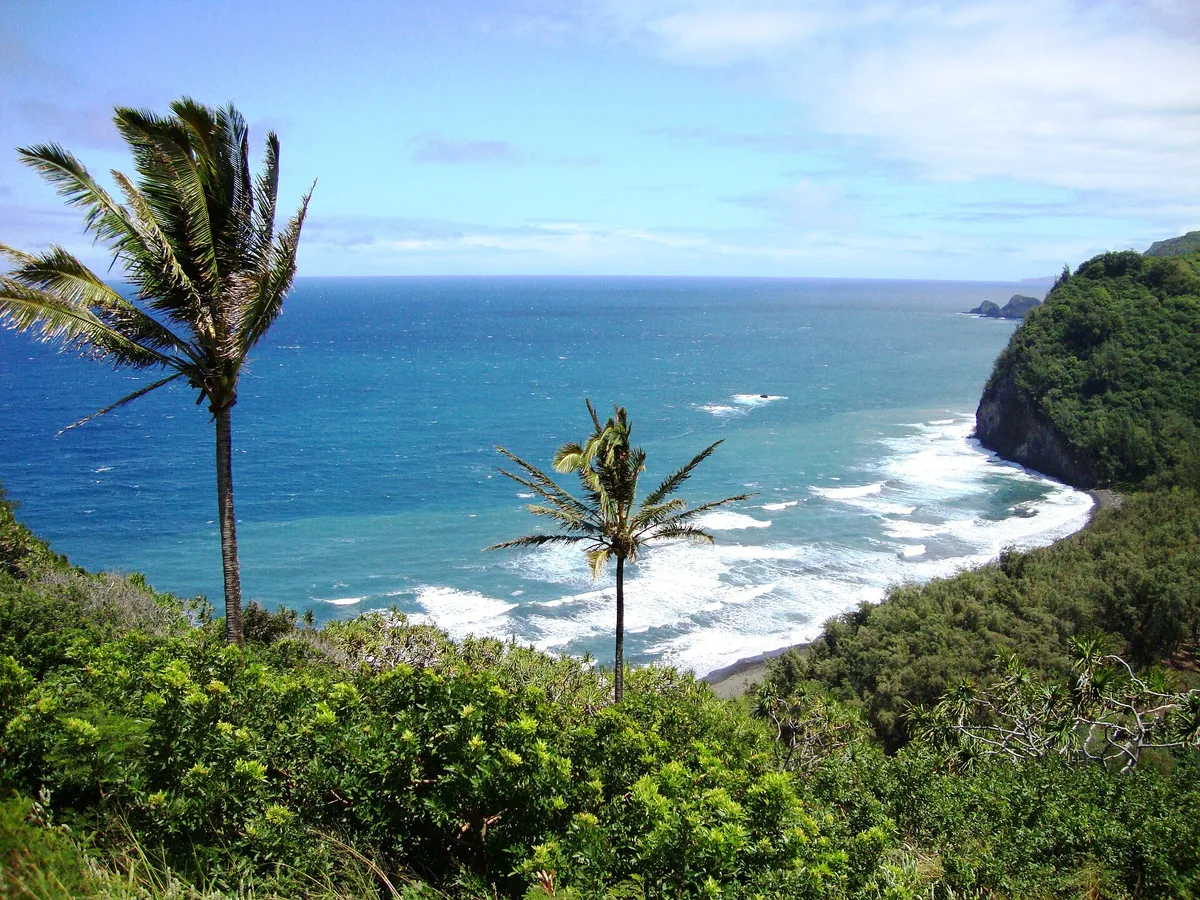 Playa de Pololu Valley, North Kohala, Hawaii, Estados Unidos — 2