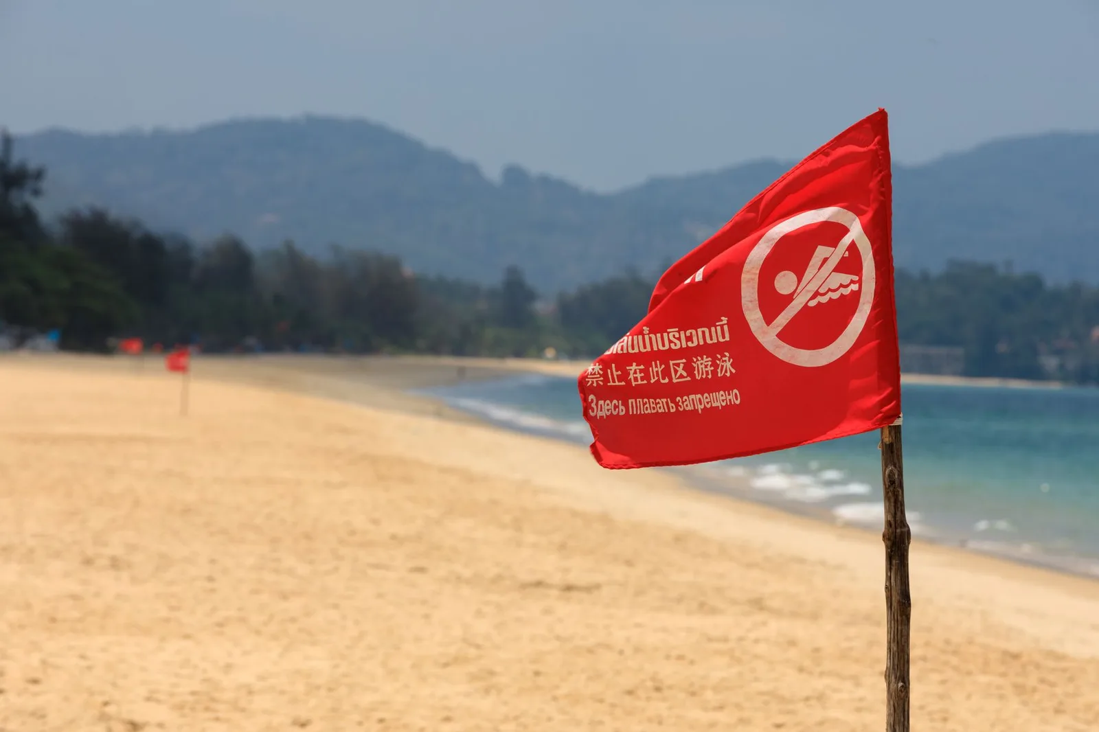 A red flag warning swim prohibition on a sandy beach with a hilly background.