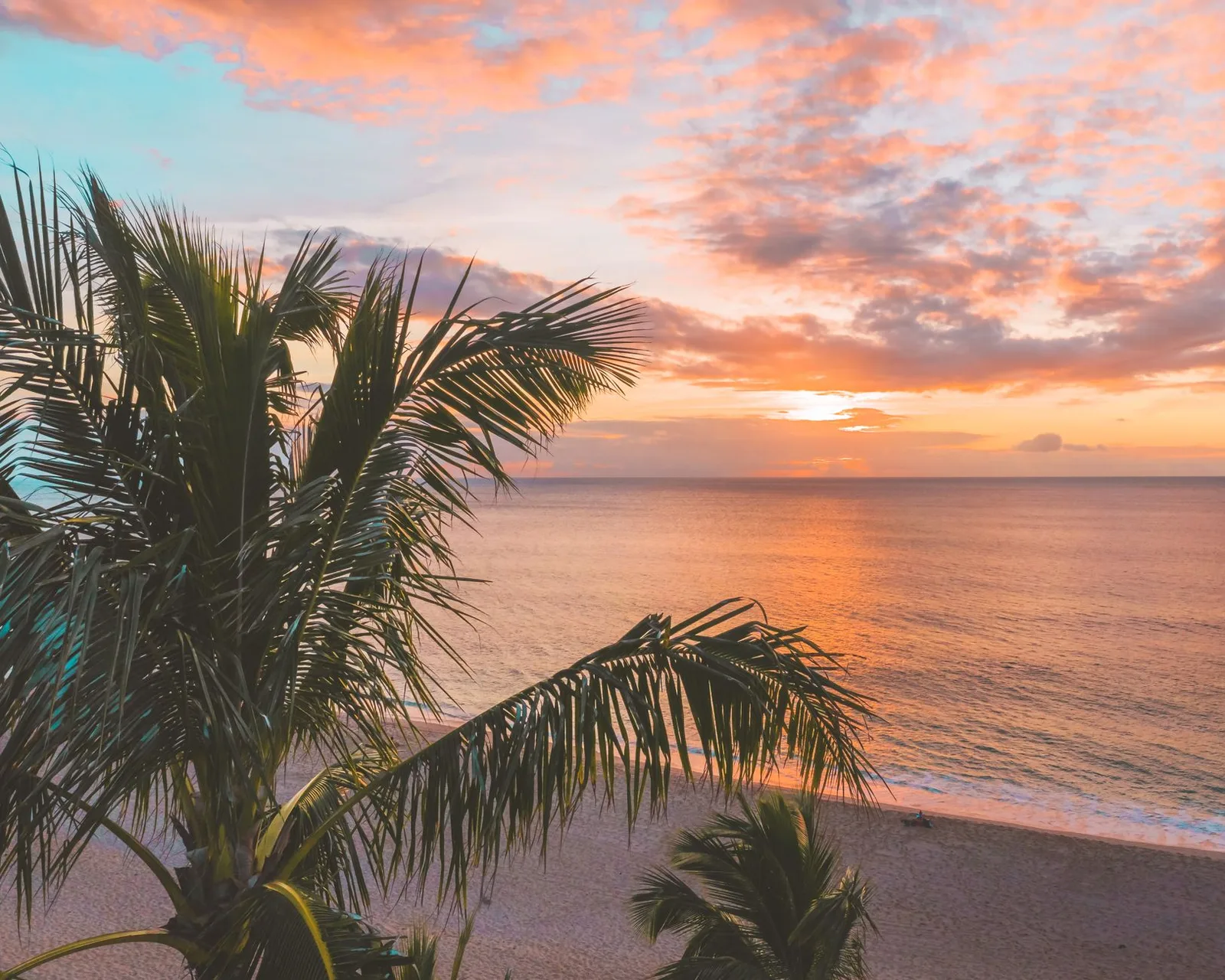 Vibrant sunset over a tranquil beach with coconut trees, ideal for relaxation themes.